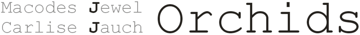 Ir a la página inicial